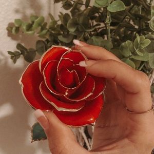 Meet your Posher, Angelina